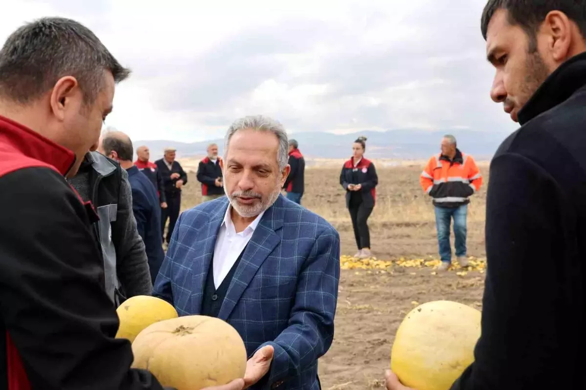 Talas’ta Kabak Çekirdeği Üretiminde Birinci Olmanın Gururu