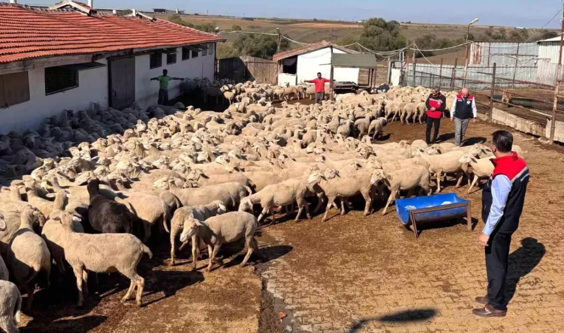 Tekirdağ'da tarım ve hayvancılık