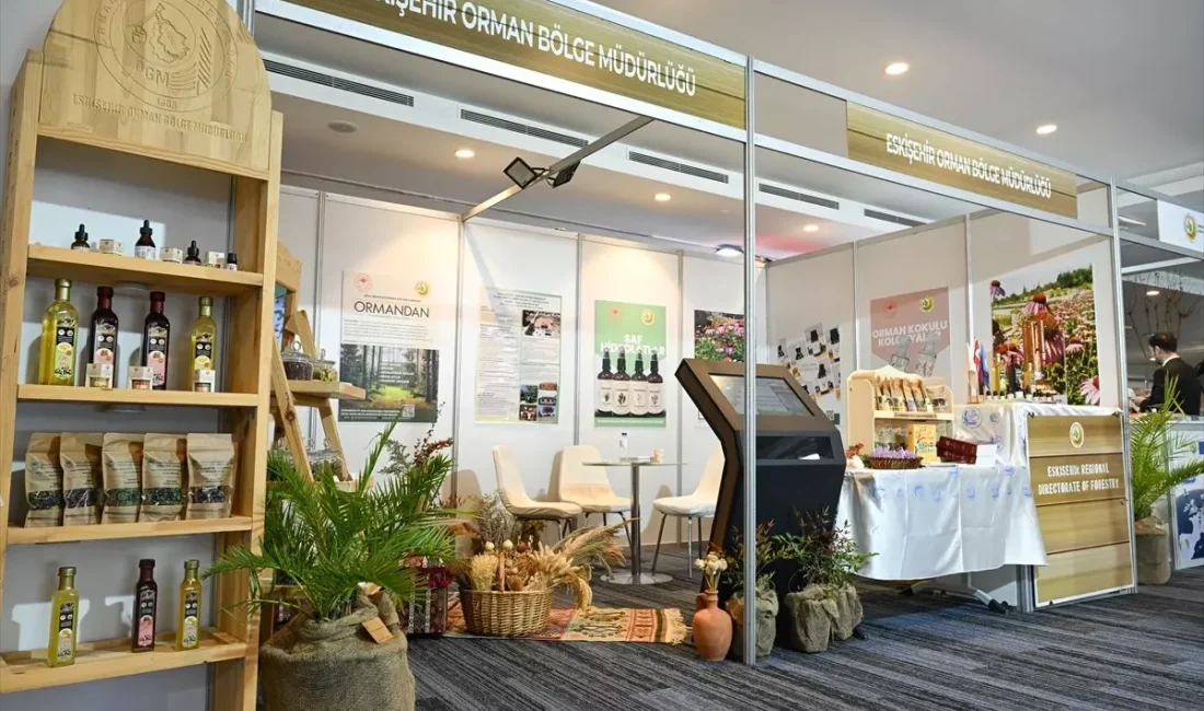 Türkiye florasında 12 bin