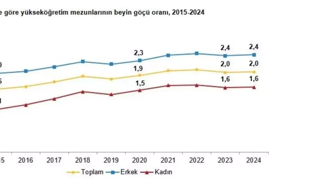 Türkiye'de yükseköğretim mezunlarının beyin