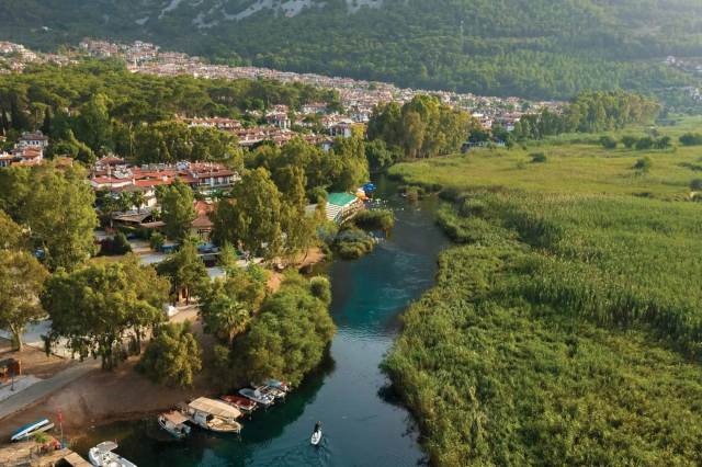 Uluslararası başarı ve sürdürülebilirlik