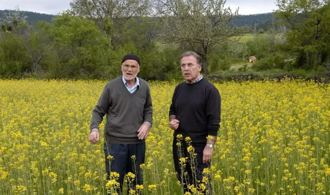 Ülkemizdeki klinik dedeleri bir