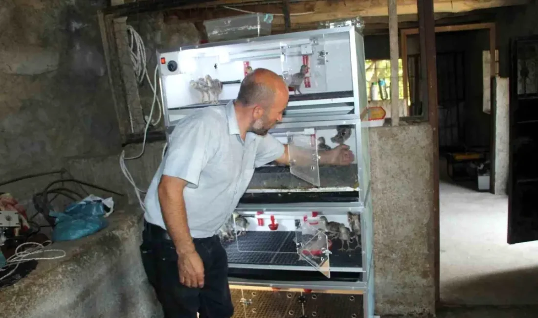 Uludere'de engelli ailelerin tarım