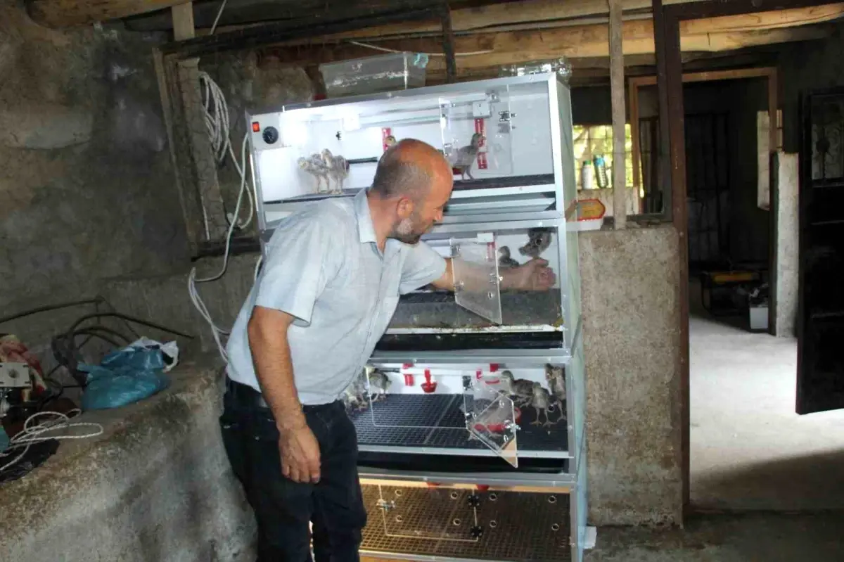 Uludere’de Engelli Ailenin Tarım Mücadelesi ve Girişimi