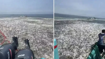 Umman Açıklarında Balıkçılıkta Görülen Eşsiz Boluluk Anları ve Sosyal Medyanın Tepkileri