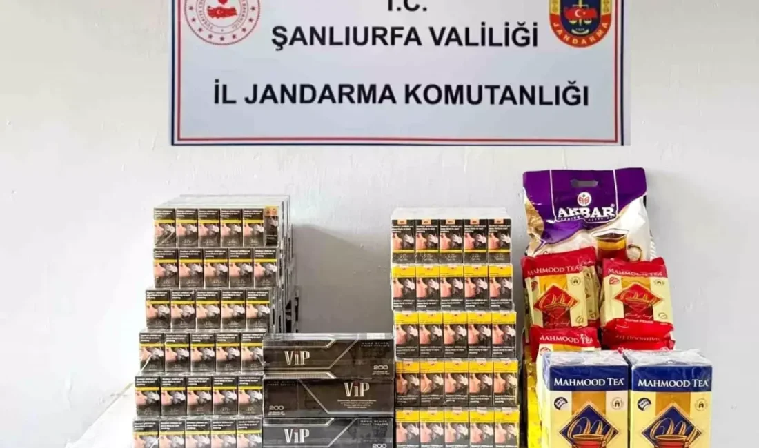 Viranşehir jandarması kaçak sigara