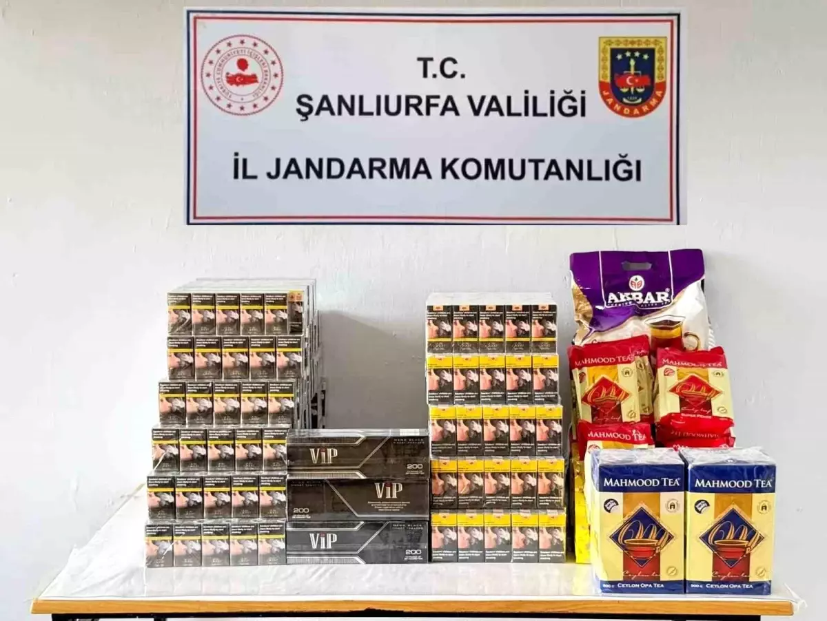 Viranşehir’de Jandarma Kaçakçılıkla Mücadelede 2.8 Bin Paket Sigara ve Tütün Ele Geçirdi