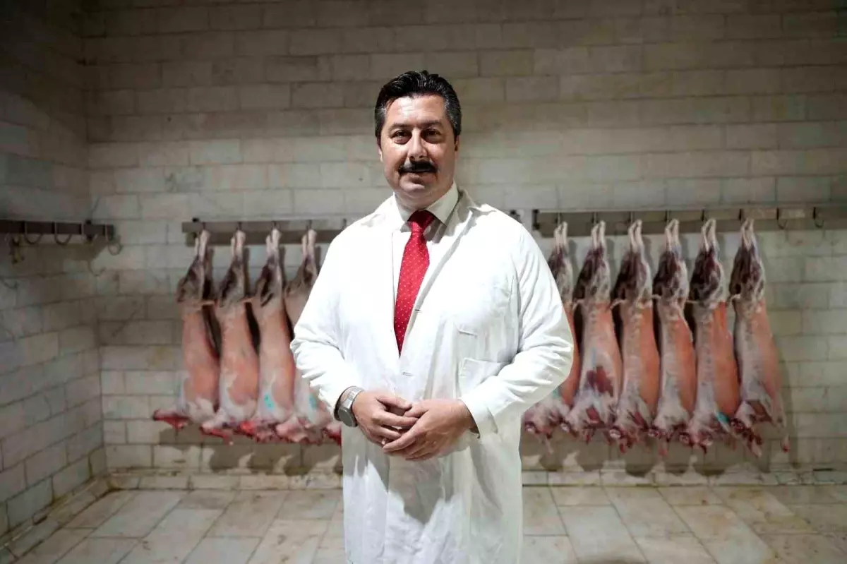 Yenişehir’de Hayvancılıkta Büyük Atılım ve İlginç İstatistikler