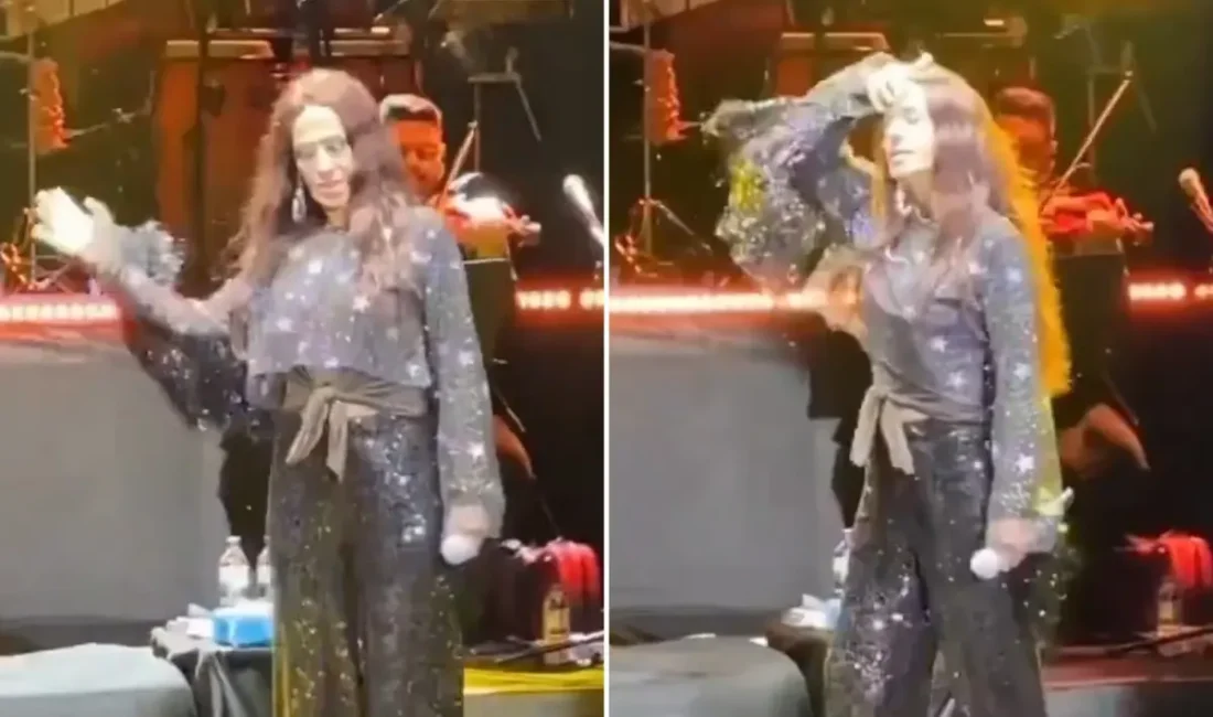 Yıldız Tilbe, Bursa gecesinde
