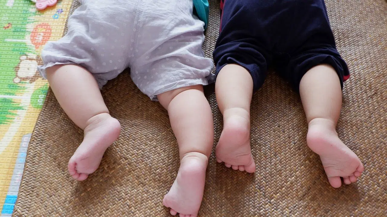 Beynin Yaşlanma ve Gelişim Sürecine Dair Yeni Bulgular