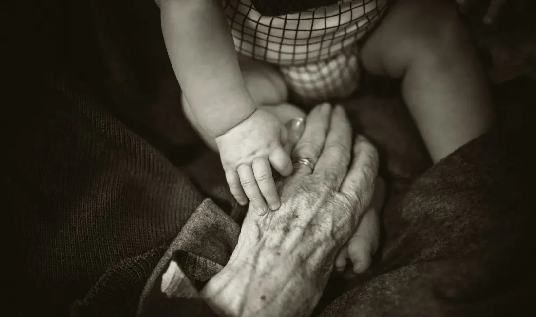 Beynin yaşlanma ve gelişim