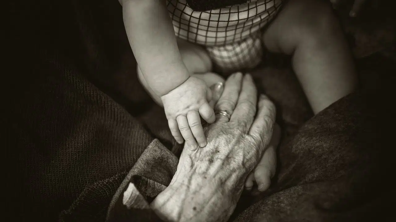 Beynin Yaşlanma ve Gelişim Sürecine Dair Yeni Bulgular