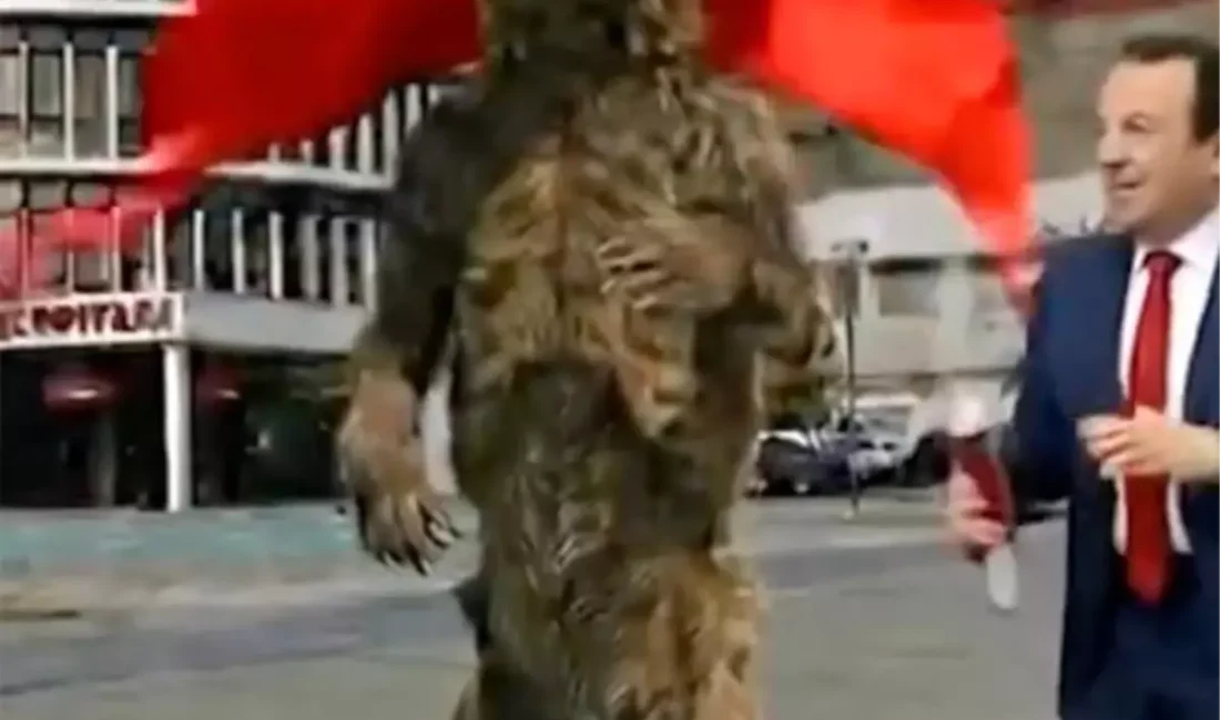 Bolu ve Düzce belediye