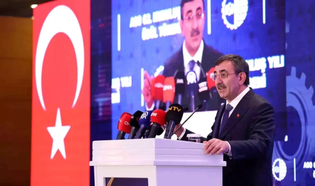 Cevdet Yılmaz, enflasyon ve