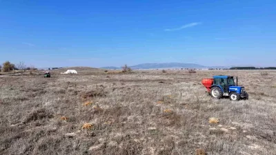 Denizli’de Meralara İlave Gübre Desteği ve Islah Çalışmaları Hız Kesmeden Devam Ediyor