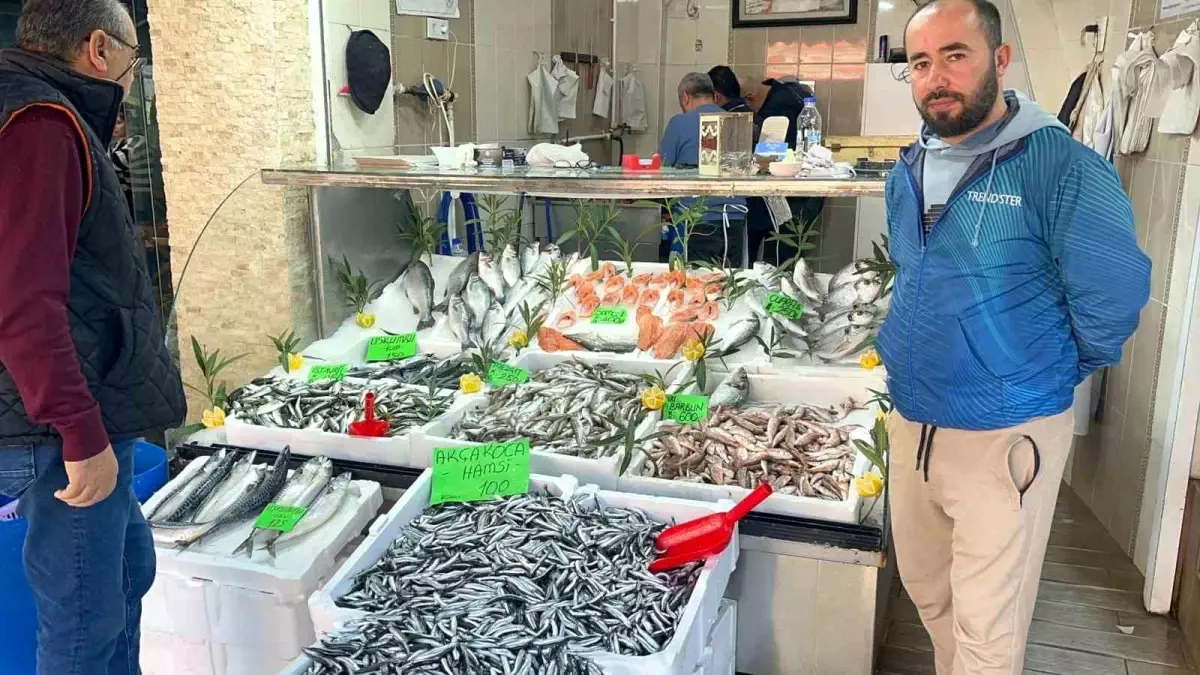 Düzce’de Balık Fiyatlarında Görülen Olumlu Seyir ve Piyasa Durumu