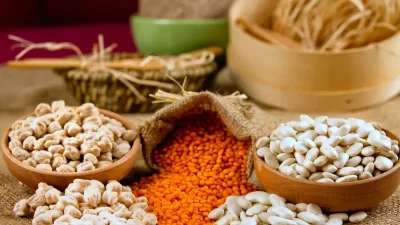 Gıda Güvenliği ve Tarımda Yeni Düzenlemelerle İlgili Güncel Bilgiler