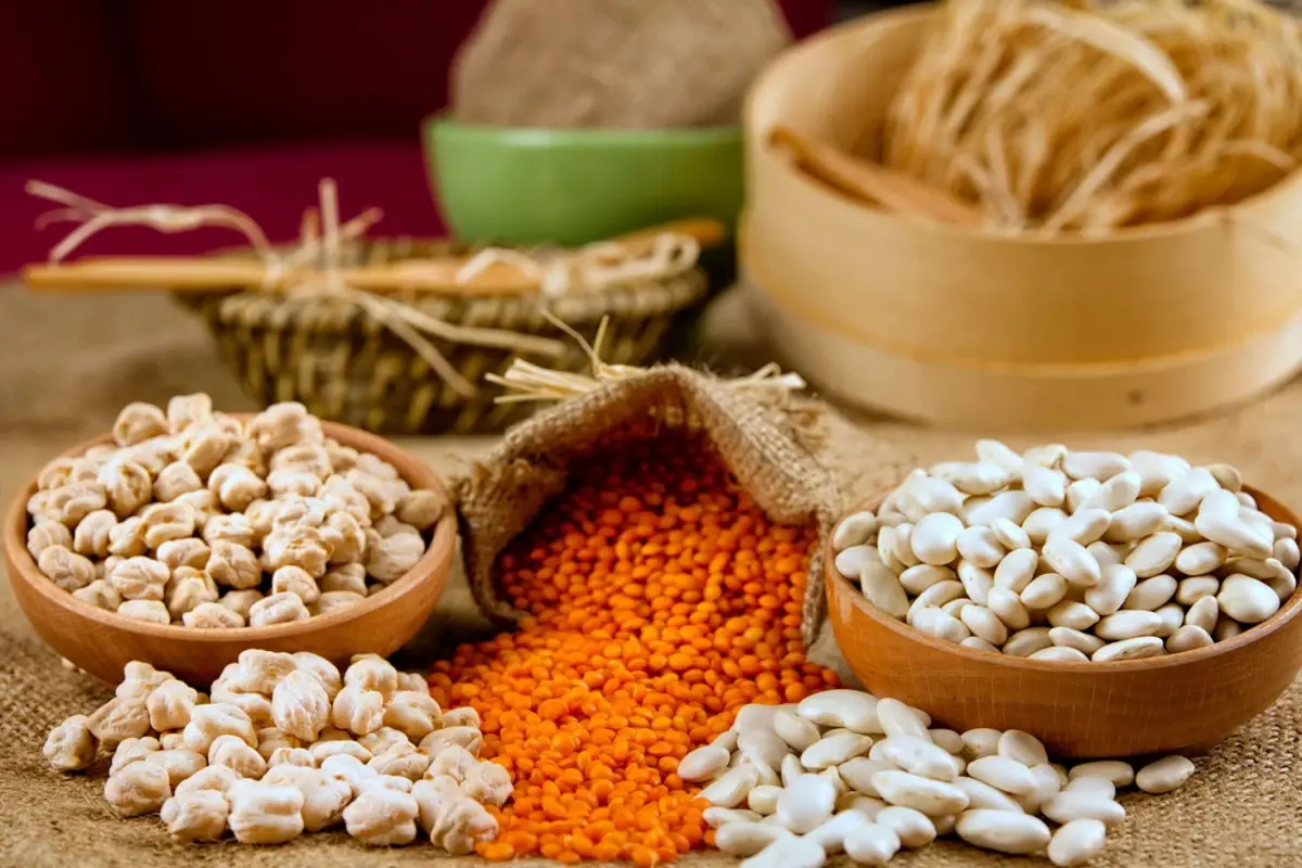 Gıda Güvenliği ve Tarımda Yeni Düzenlemelerle İlgili Güncel Bilgiler