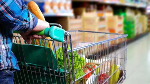 Kasım 2025 Ekonomik Güven