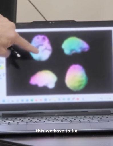 Boşluklar ve Beyin Aktivitesi