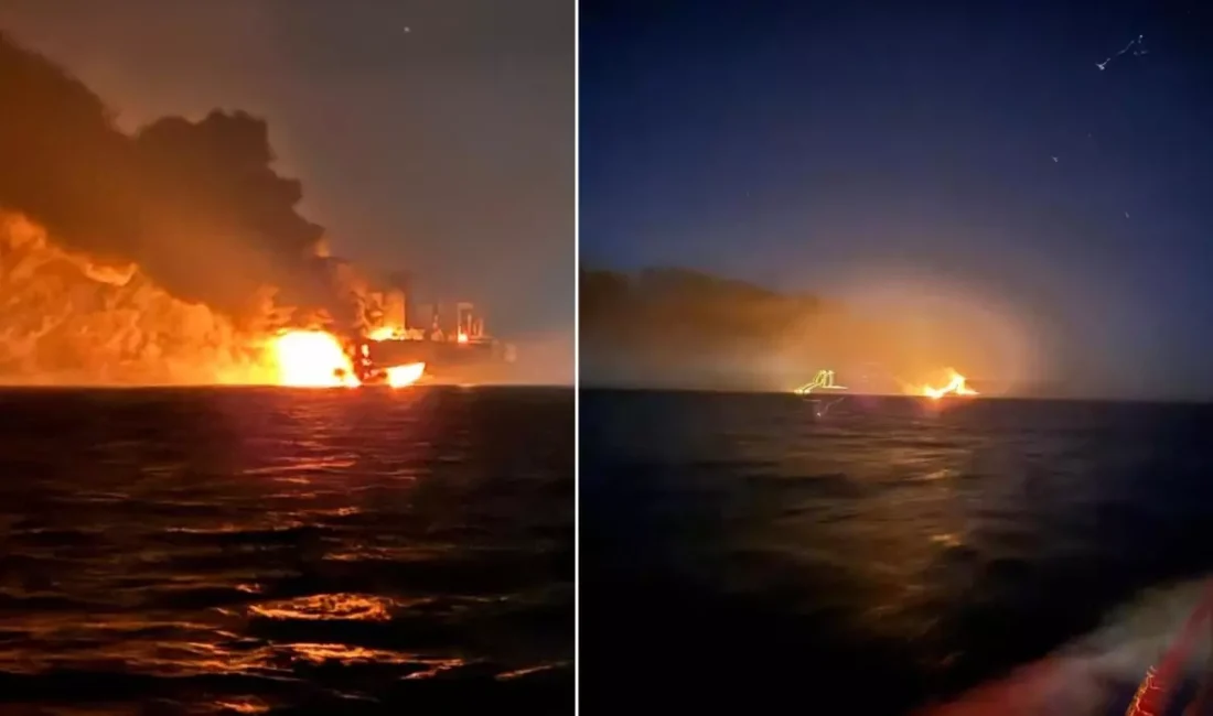 Koronavirüs sonrası denizlerdeki gelişmeler