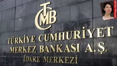 Merkez Bankası ve Altına Yönelik Eleştiriler Üzerine Ekonomist Görüşleri
