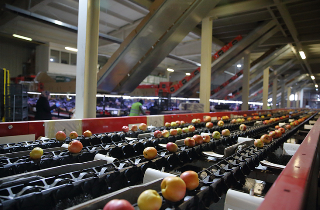 Saraylım Tarım'ın Mali Krizi ve Geleceğine İlişkin Kritik Gelişmeler