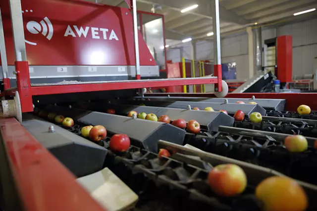 Saraylım Tarım'ın Mali Krizi ve Geleceğine İlişkin Kritik Gelişmeler