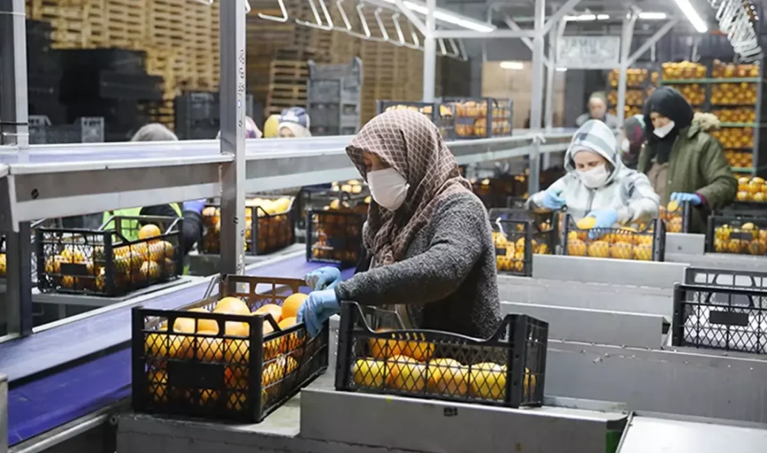 Saraylım Tarım'ın mali krizi