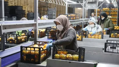 Saraylım Tarım’ın Mali Krizi ve Geleceğine İlişkin Kritik Gelişmeler