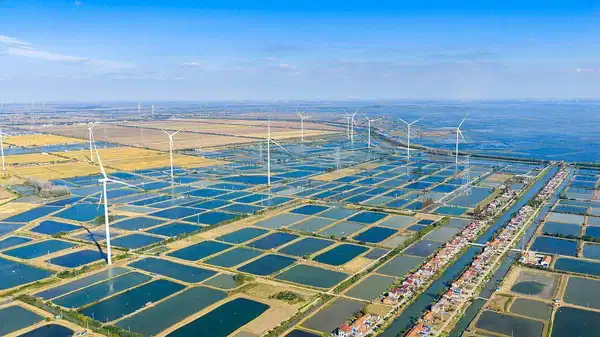 Yeni Girişim ve Gelecek Vizyonları