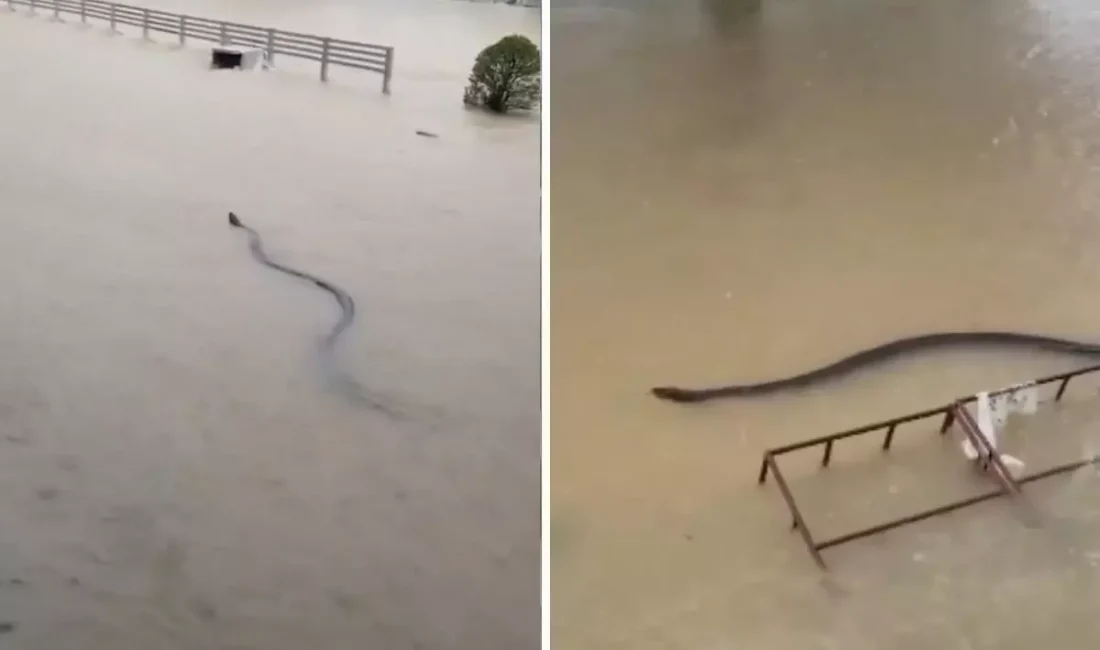 Tayland'da son yağışlar ve