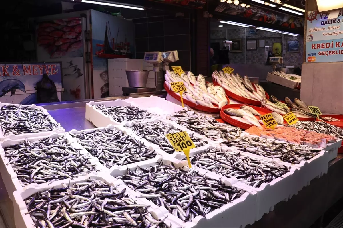 Trabzon’da Hamsi Fiyatlarındaki Son Durum ve Balıkçıların Görüşleri