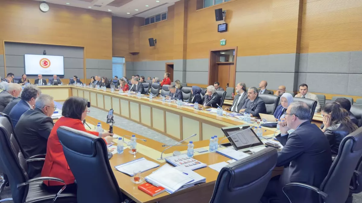 Türkiye BM Meclisi Engelli Bireylerin Durumunu Değerlendirdi