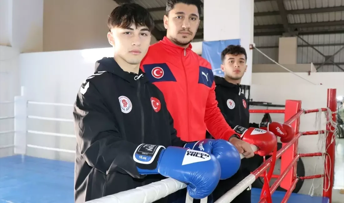 Ünyeli genç boksörler, Avrupa