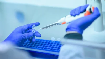 ABD’de Yüksek Bulaş Riski Taşıyan Çoklu Kuduz Vakası Düşünceleri