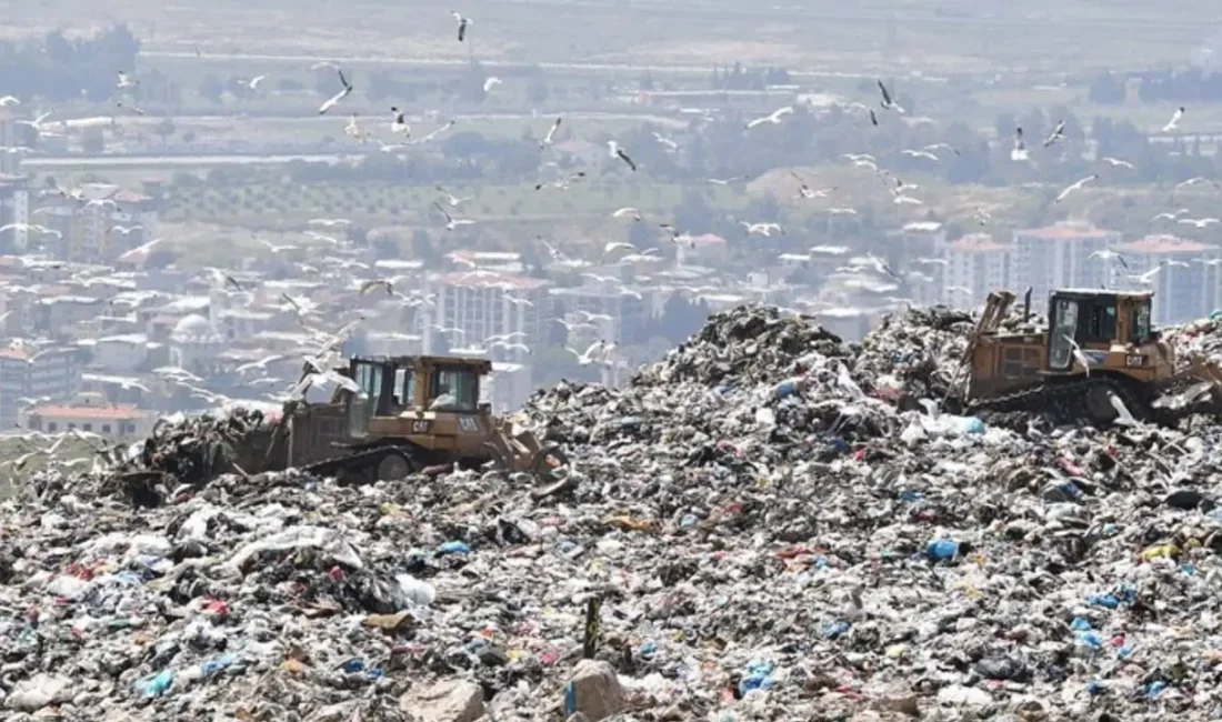 AB’nin çevre ticareti ve