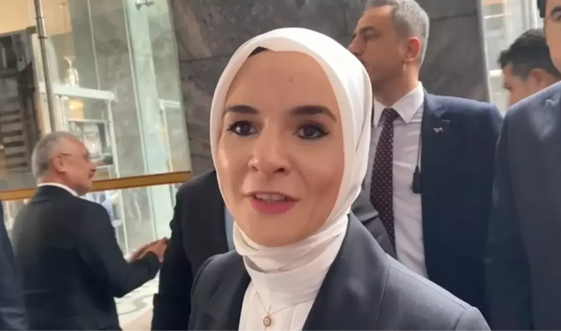 Aile ve Sosyal Hizmetler