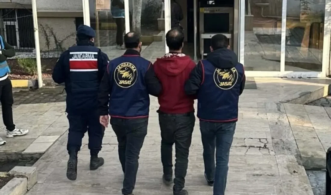 Alaşehir ve Sarıgöl'deki üzüm