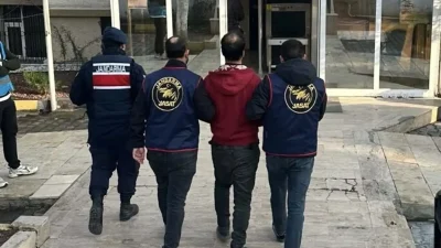 Alaşehir ve Sarıgöl’de Üzüm Bağlarında Gasp Operasyonu Detayları