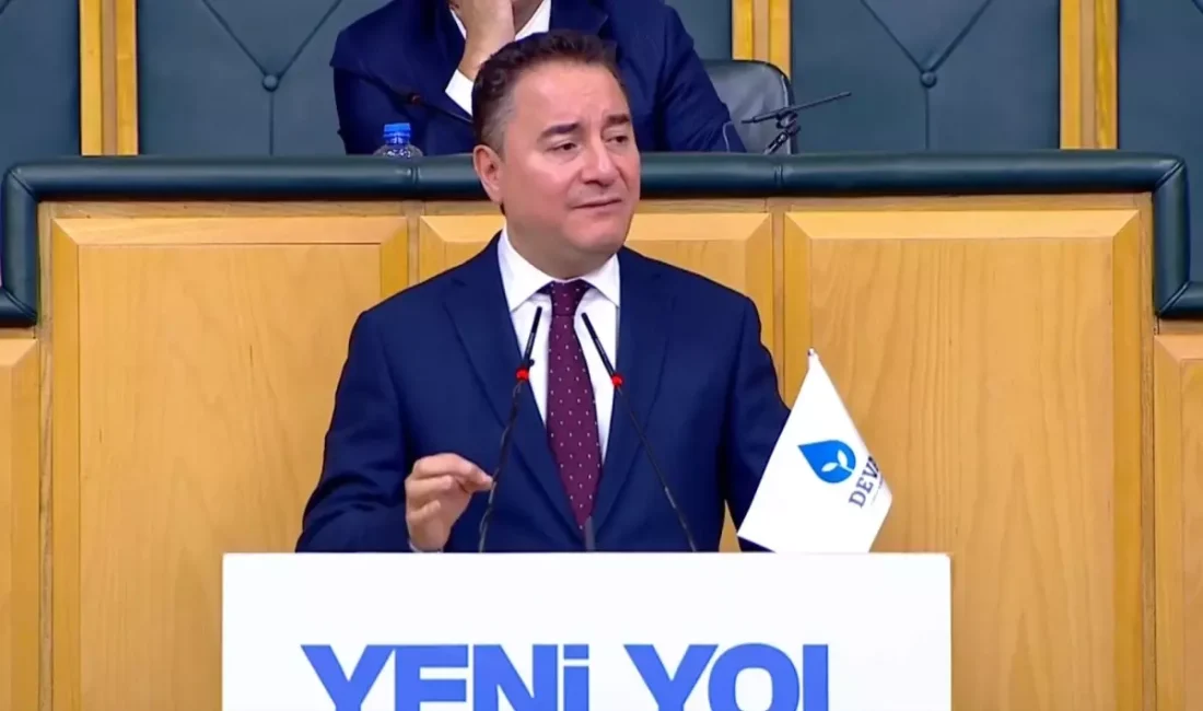 Ali Babacan, asgari ücret