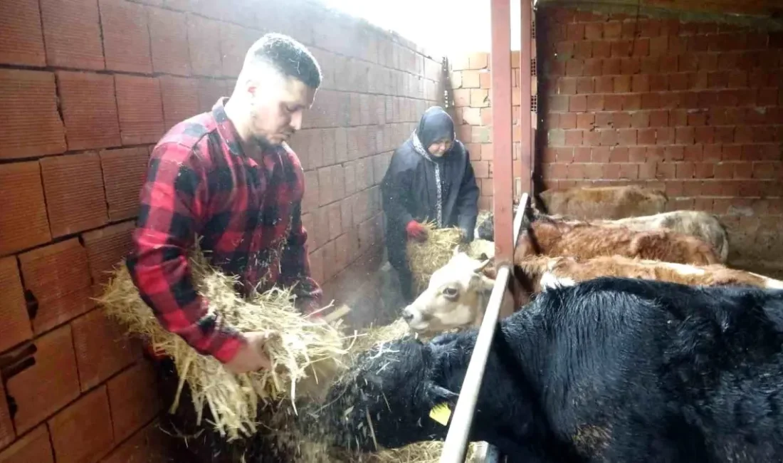 Almanya'da yaşayan genç çift,