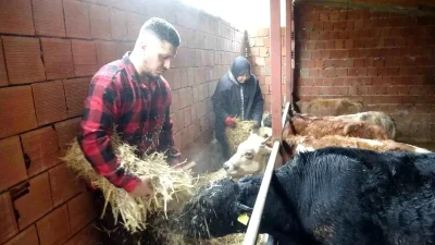 Almanya'da yaşayan genç çift, memleketlerine