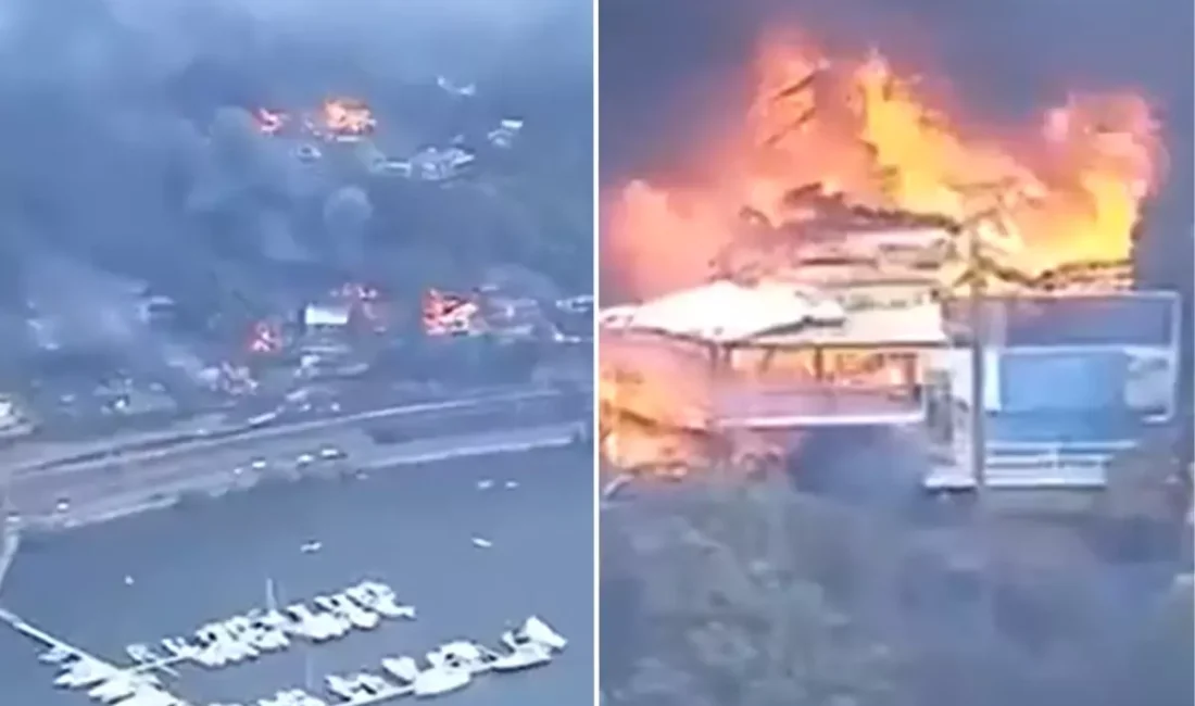 Avustralya Güneydoğusunda orman yangınları