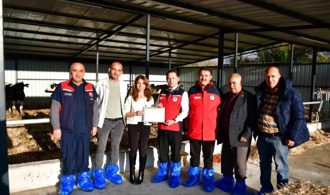 Biga'da sağlıklı hayvansal üretim