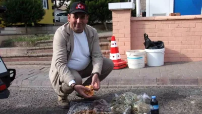 Bozdoğan’da Doğal Mantar Toplama ve Tehlikeleri Uyarısı