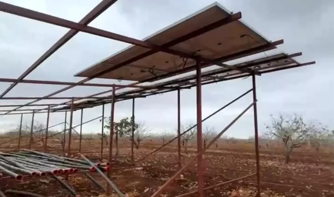 Bozova'da güneş enerjisi panelleri