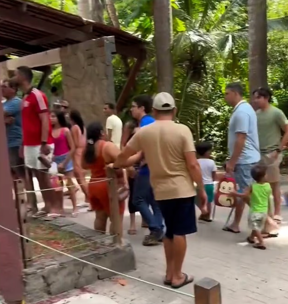 Genç Bir Adamın Hayvanat Bahçesinde Ölümle Sonuçlanan Saldırısı