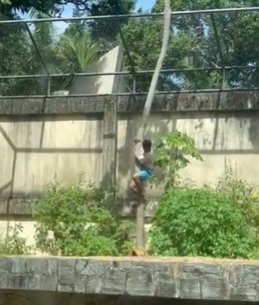 Genç Bir Adamın Hayvanat Bahçesinde Ölümle Sonuçlanan Saldırısı