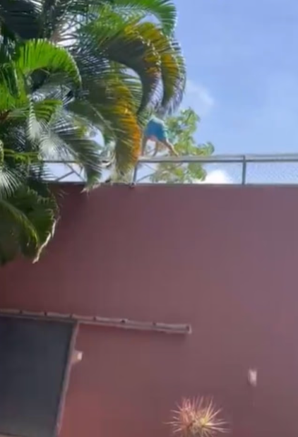 Olay Detayları ve Güvenlik Güçlerinin Müdahalesi